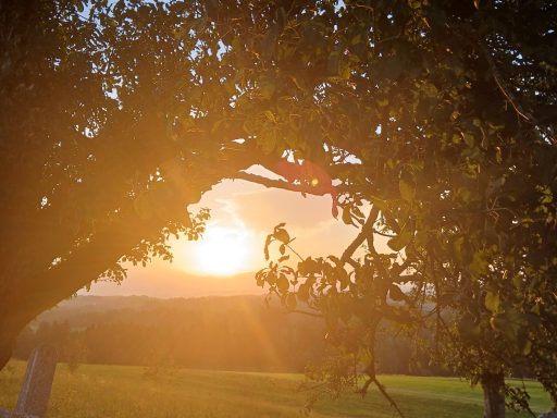 Sonnenuntergang - Blick vom Heumilch-Hof Fehr in Stiefenhofen im Allgäu