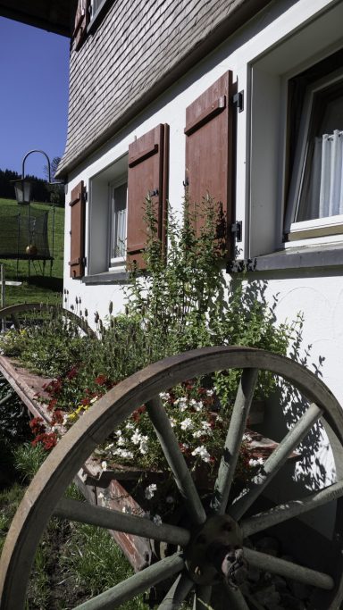 Heumilch-Hof Fehr in Stiefenhofen im Allgäu - Ferien auf dem Bauernhof