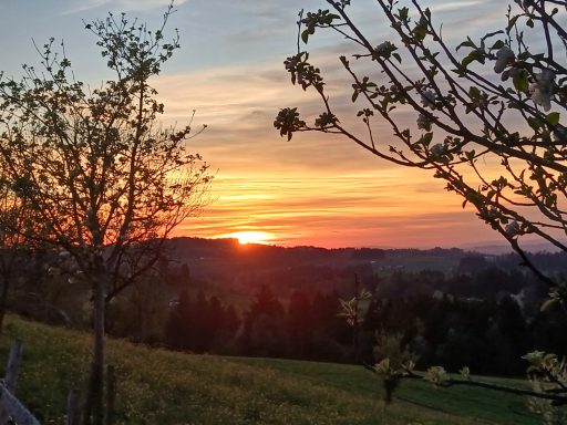 Sonnenuntergang mit Aussicht vom Heumilch-Hof Fehr in Stiefenhofen im Allgäu