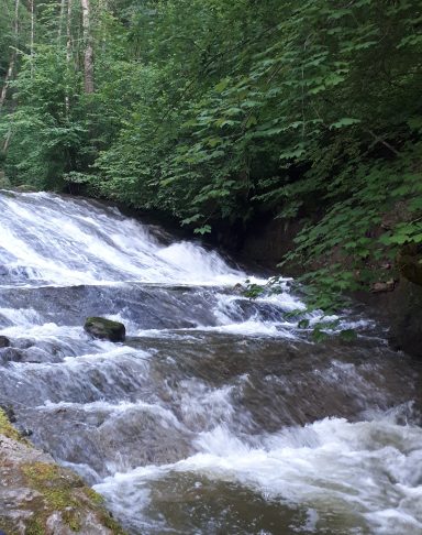 Bachlauf in der Natur im Allgäu