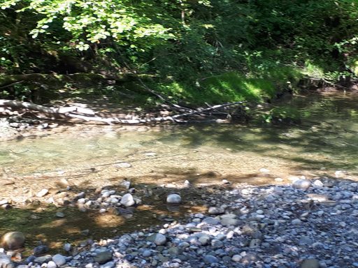 Bachlauf im Allgäu